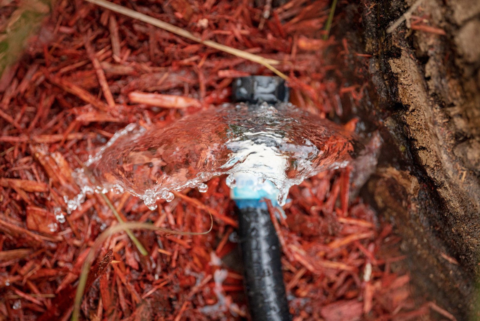 Installing a Drip Irrigation System DIY vs Hiring a Professional in